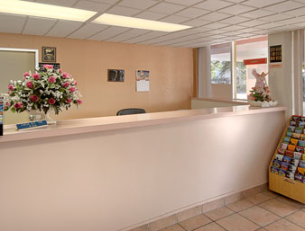 Super-8-Motel-Melbourne-Lobby_2fe9291a-fc65-dfc9-dcd67b80ac3510ec.jpg